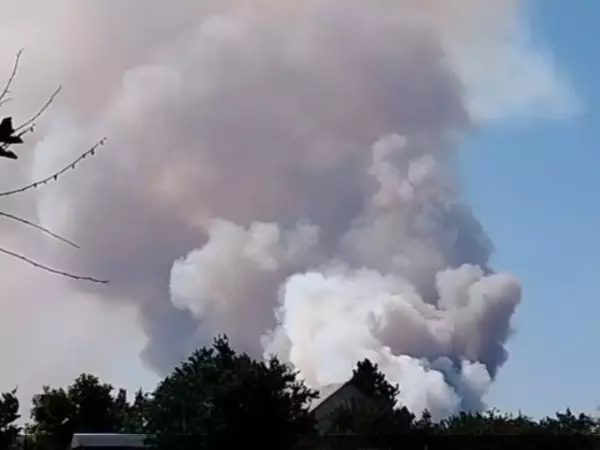 Фото к материалу: Для тушения крупного ландшафтного пожара в Каменском районе привлекли вертолет