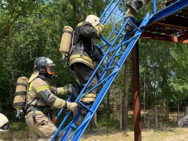 В Ростовской области за сутки потушили 25 пожаров