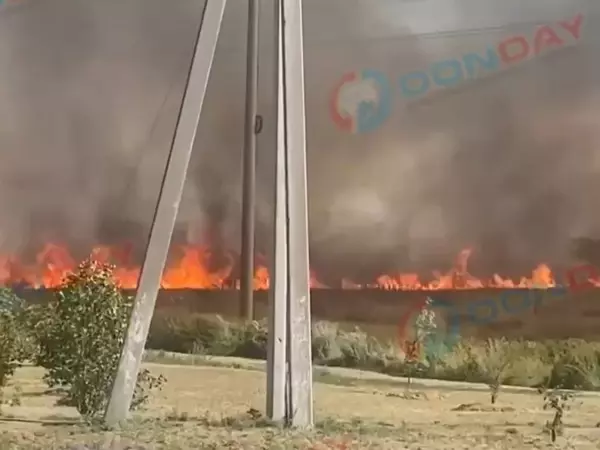 Фото к материалу: В селе под Таганрогом на большой площади полыхает сухая трава