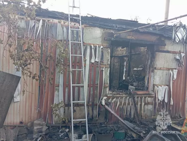 Фото к материалу: В Ростовской области женщина спаслась сама и вытащила супруга из горящего дома