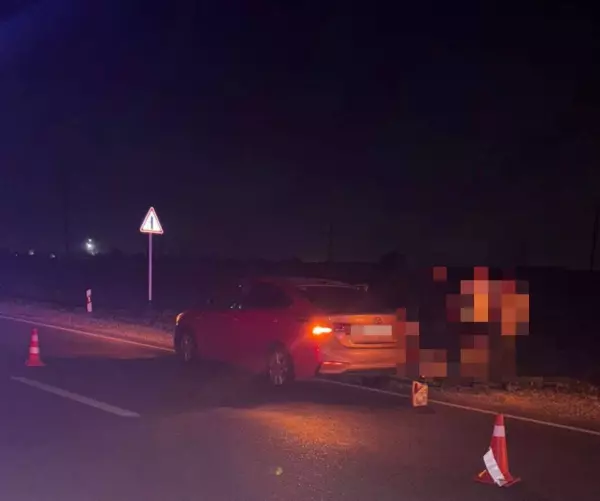 Фото к материалу: Водитель из Ростовской области насмерть сбил велосипедиста в Ставропольском крае