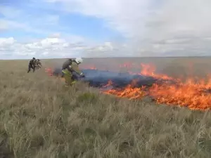 В Ростовской области продлили штормовое предупреждение из-за пожароопасности