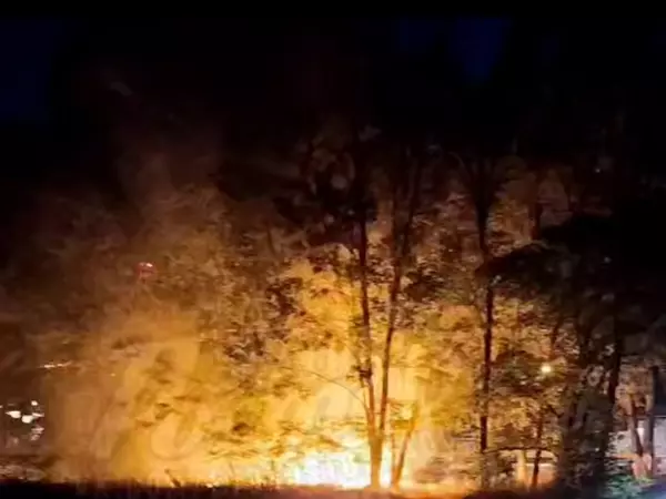 Фото к материалу: Очередной ландшафтный пожар произошел в Аксайском районе