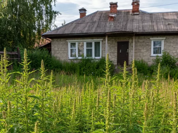 Фото к материалу: Ростовских дачников предупредили о штрафах и изъятии земель за захламление участков