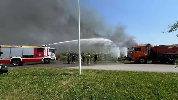 Фото к материалу: В Ростове на Левом берегу ликвидировали крупный ландшафтный пожар