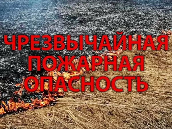 Фото к материалу: На Дону продлили штормовое предупреждение о пожароопасности до 29 июля