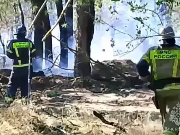 В Цимлянском районе спустя шесть часов потушили лесной пожар