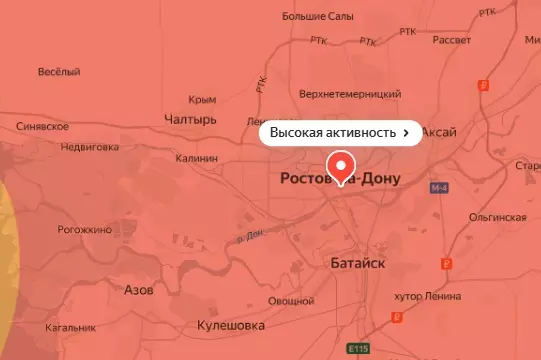 Высокая активность пыльцы амброзии в Ростовской области сохранится до 1 сентября