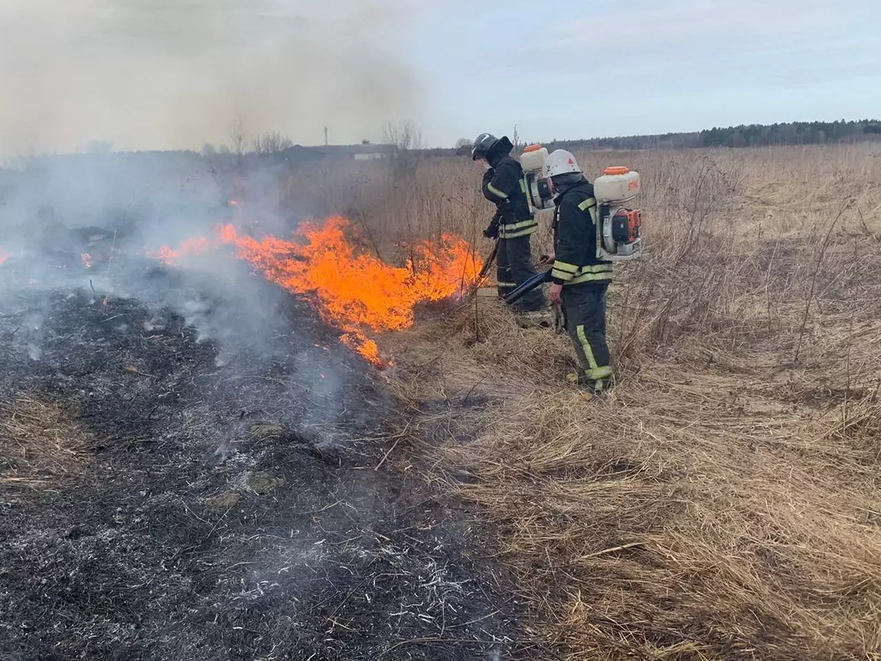 Чрезвычайную пожароопасность объявили в 27 районах Ростовской области