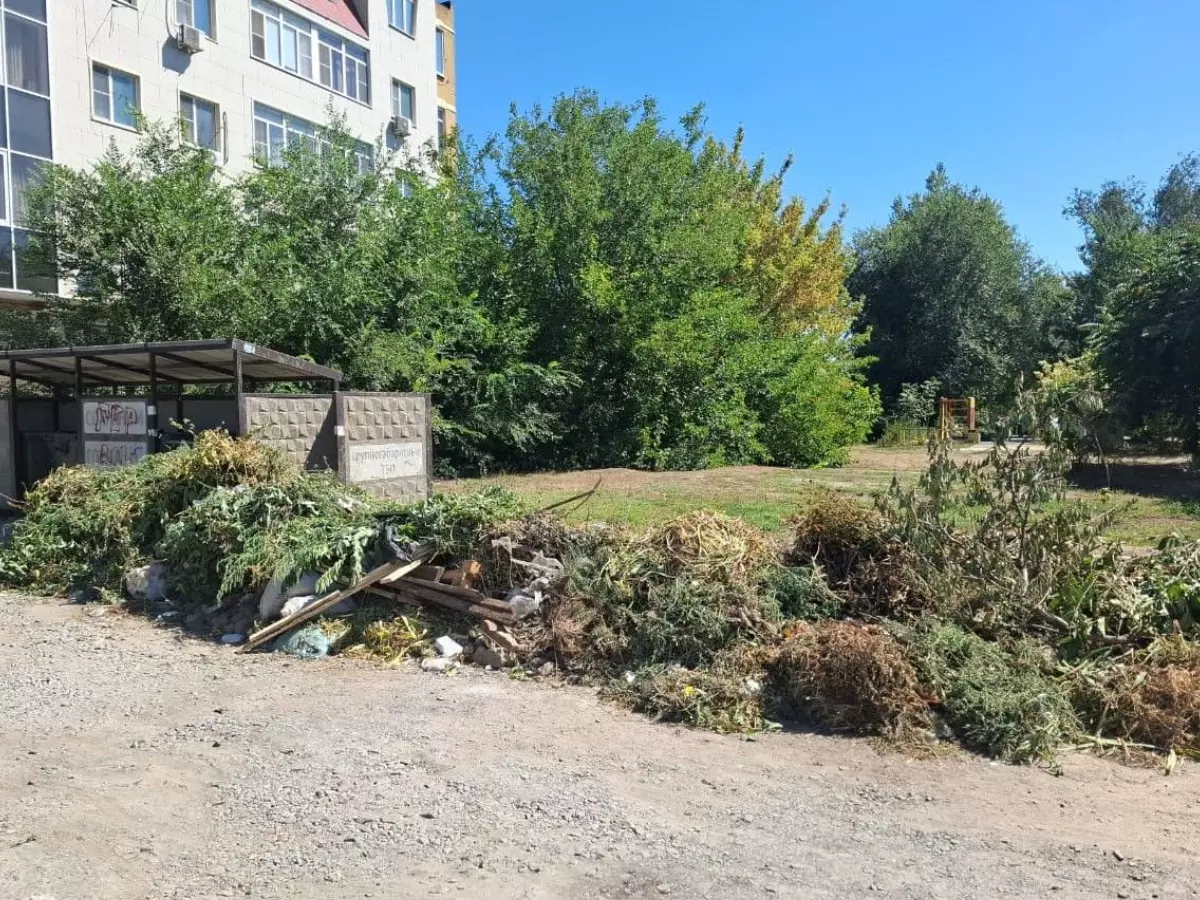 С сентября на Дону введут штрафы за выбрасывание веток и листвы в мусорные жбаны