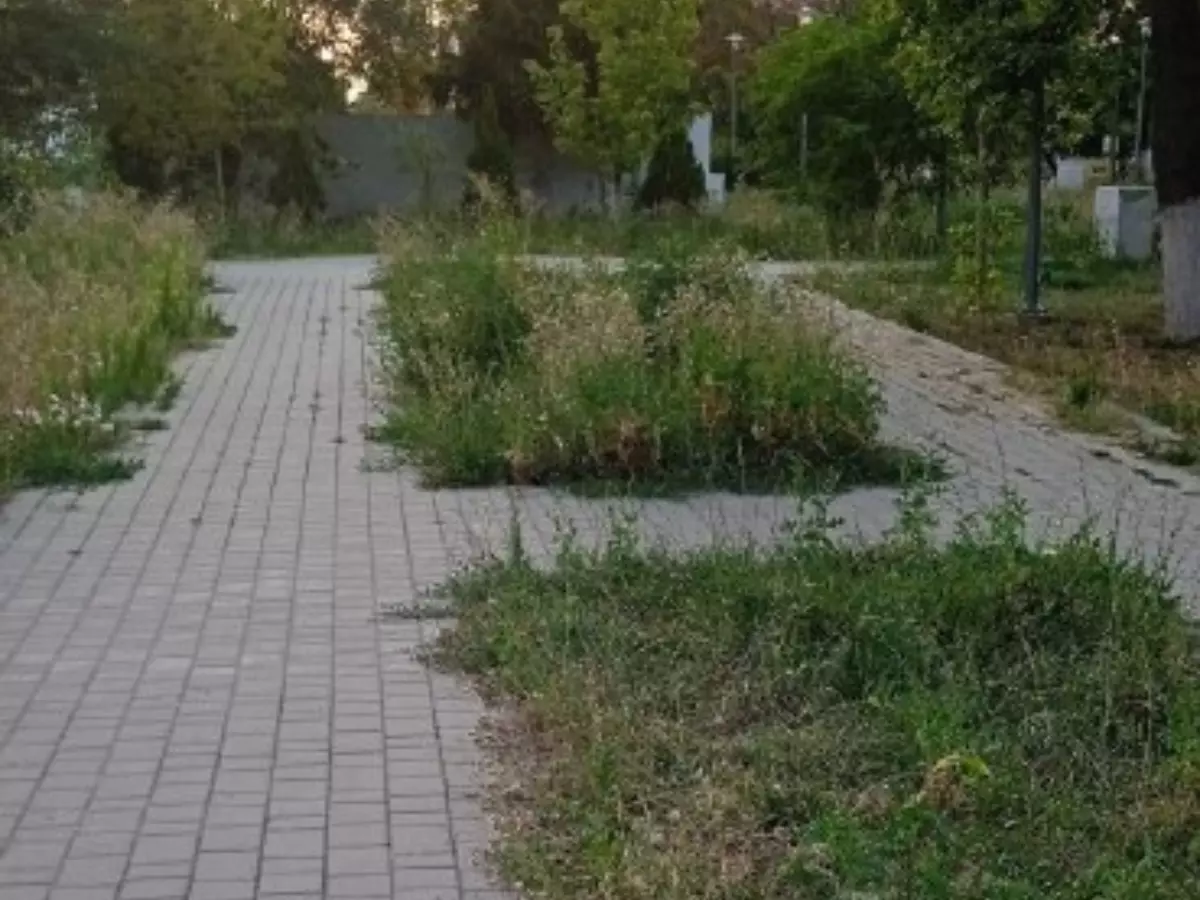 В Шахтах парк «70 лет Победы» зарос травой