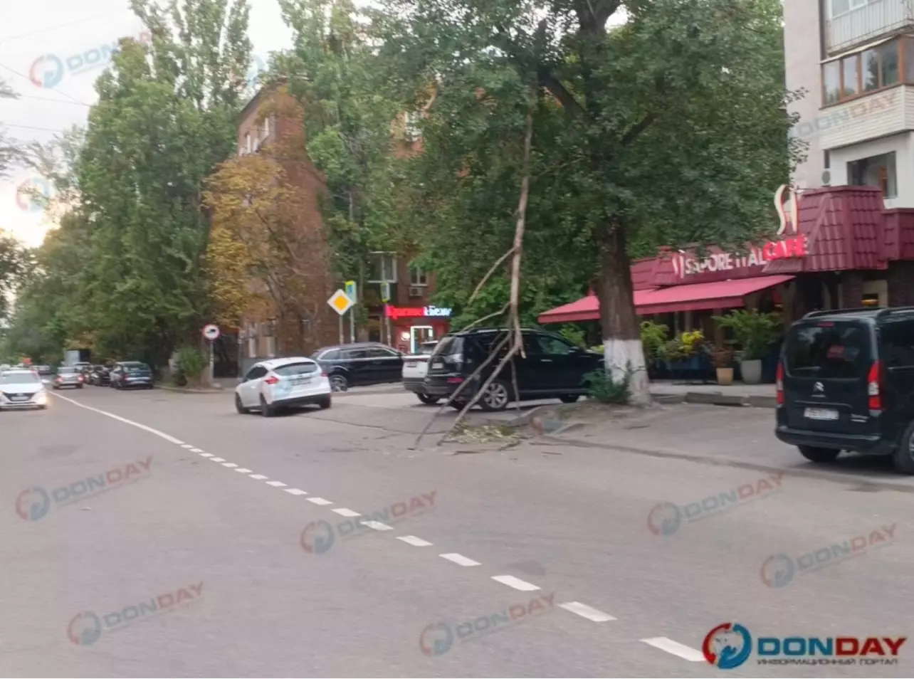 В Ростове на Мечникова упавшая ветка перегородила проезжую часть