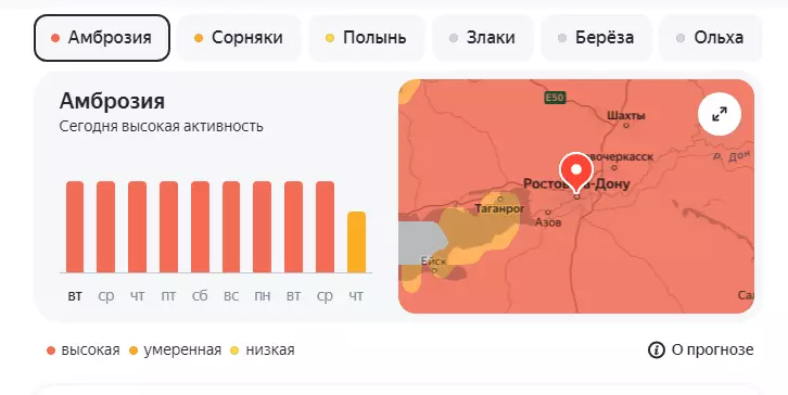 Ростовчан предупредили о высокой концентрации пыльцы сорняков и амброзии