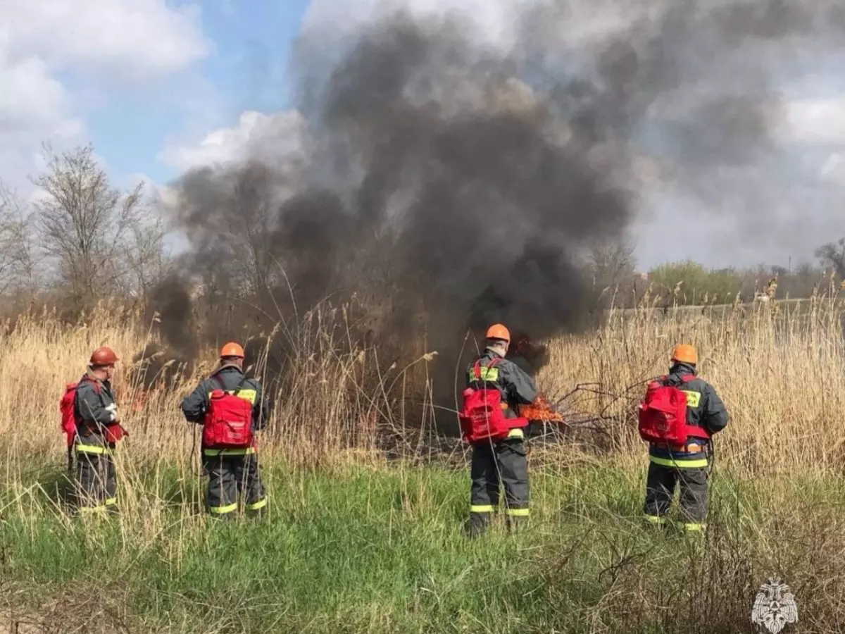 За сутки в Ростовской области потушили 24 пожара