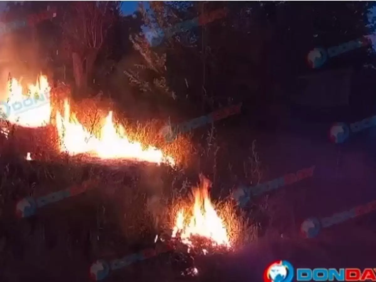 В Шахтах из-за вспыхнувшей травы едва не загорелись жилые дома