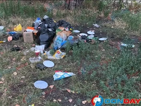 Ростовчане пожаловались на сломанные качели и кучи мусора на Зеленом острове