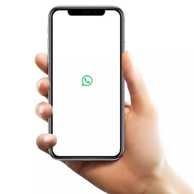 В Новосибирской области перестали работать звонки через WhatsApp* и Telegram