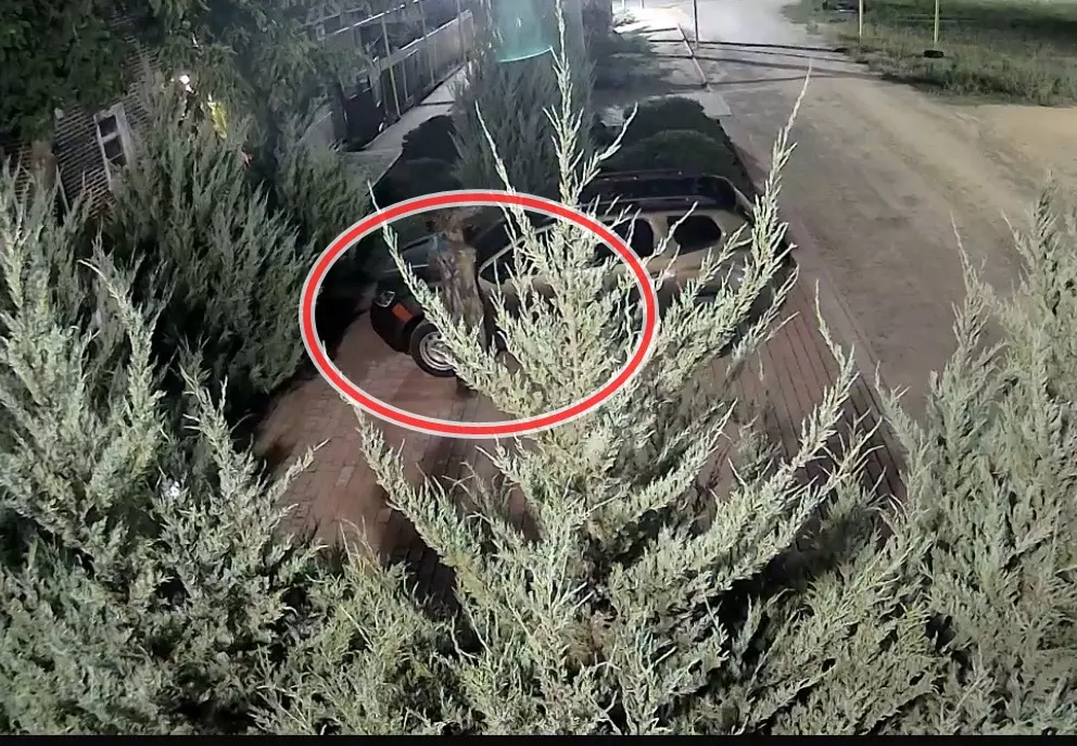 Поджигатель машины редактора программы в Ростовской области попал на видео