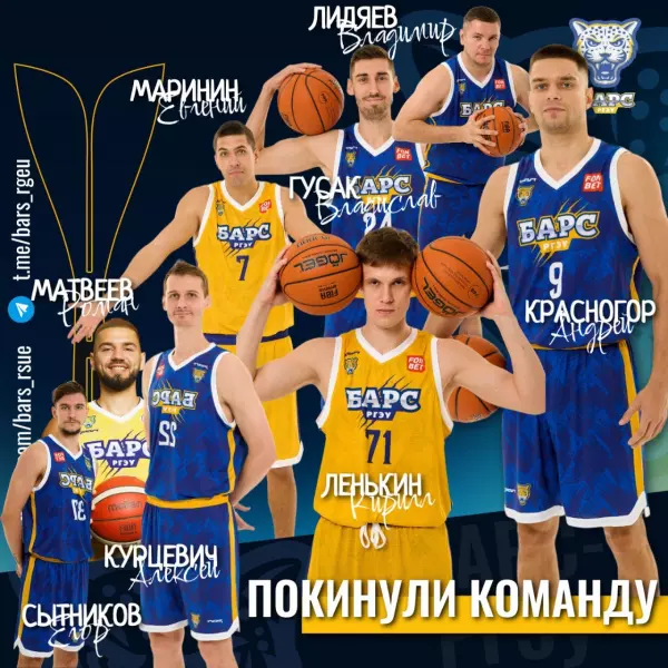 Фото к материалу: Ростовский БК «Барс-РГЭУ» покинули больше половины игроков