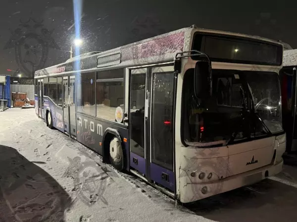 Фото к материалу: В Ростове будут судить водителя автобуса, который зажал ногу пенсионерке