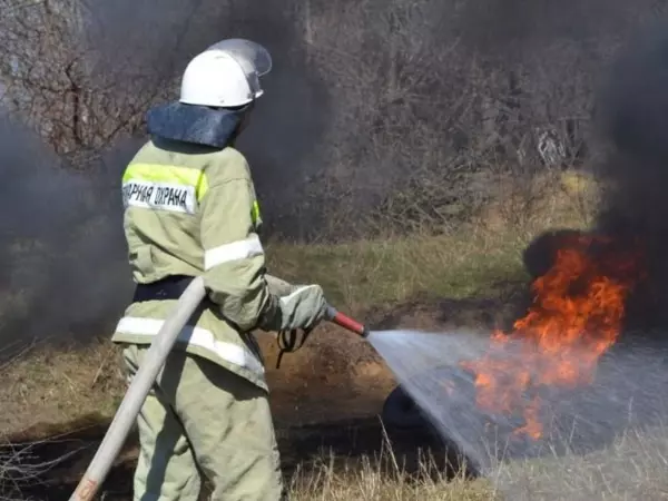 Фото к материалу: За сутки в Ростовской области потушили 48 пожаров
