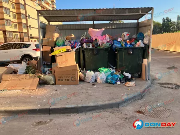 Фото к материалу: Крысы атаковали многоэтажный дом в Ростове из-за переполненных жбанов