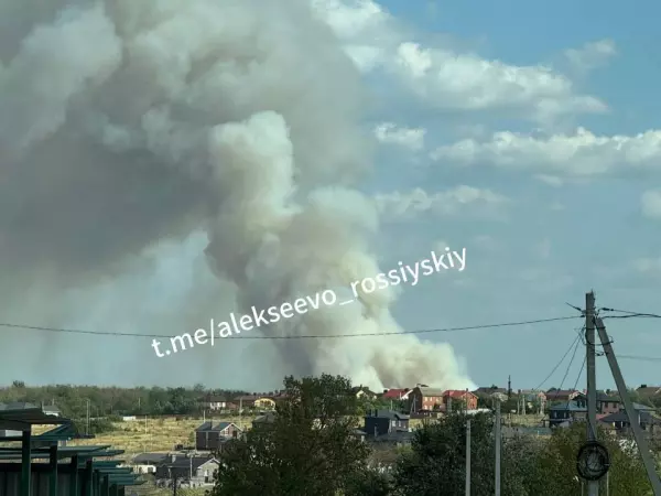 Фото к материалу: Еще один крупный ландшафтный пожар вспыхнул в Ростовской области
