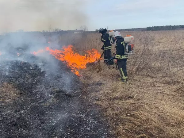 Фото к материалу: Чрезвычайную пожароопасность объявили в 27 районах Ростовской области