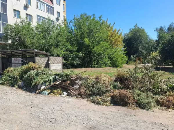 Фото к материалу: С сентября на Дону введут штрафы за выбрасывание веток и листвы в мусорные баки