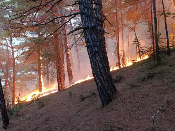 Фото к материалу: В Краснодарском крае после атаки БПЛА разбушевался крупный лесной пожар