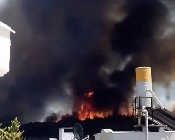 Фото к материалу: Кадры жуткого лесного пожара в Турции