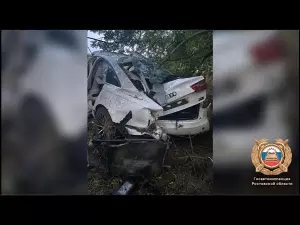 Водитель погиб, двое пострадали: В Ростовской области произошло жуткое ДТП