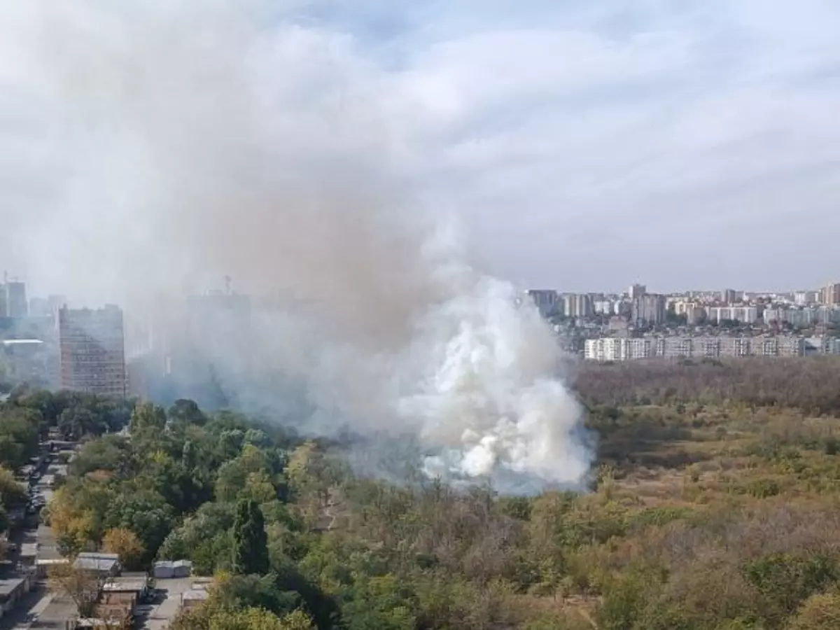 В Ростове пожар в роще Первомайского района потушили