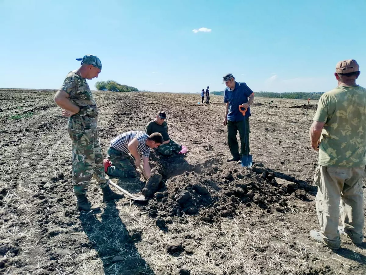 В Ростовской области найдены останки четырех солдат, погибших во время ВОВ