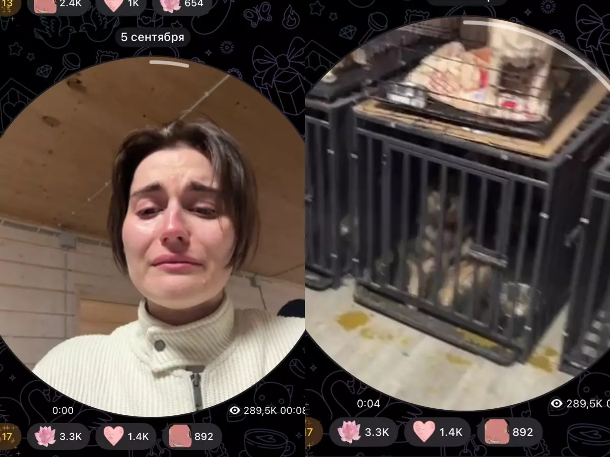 Певица Мона отдала своих собак кинологам, а они попали в «концлагерь» для животных