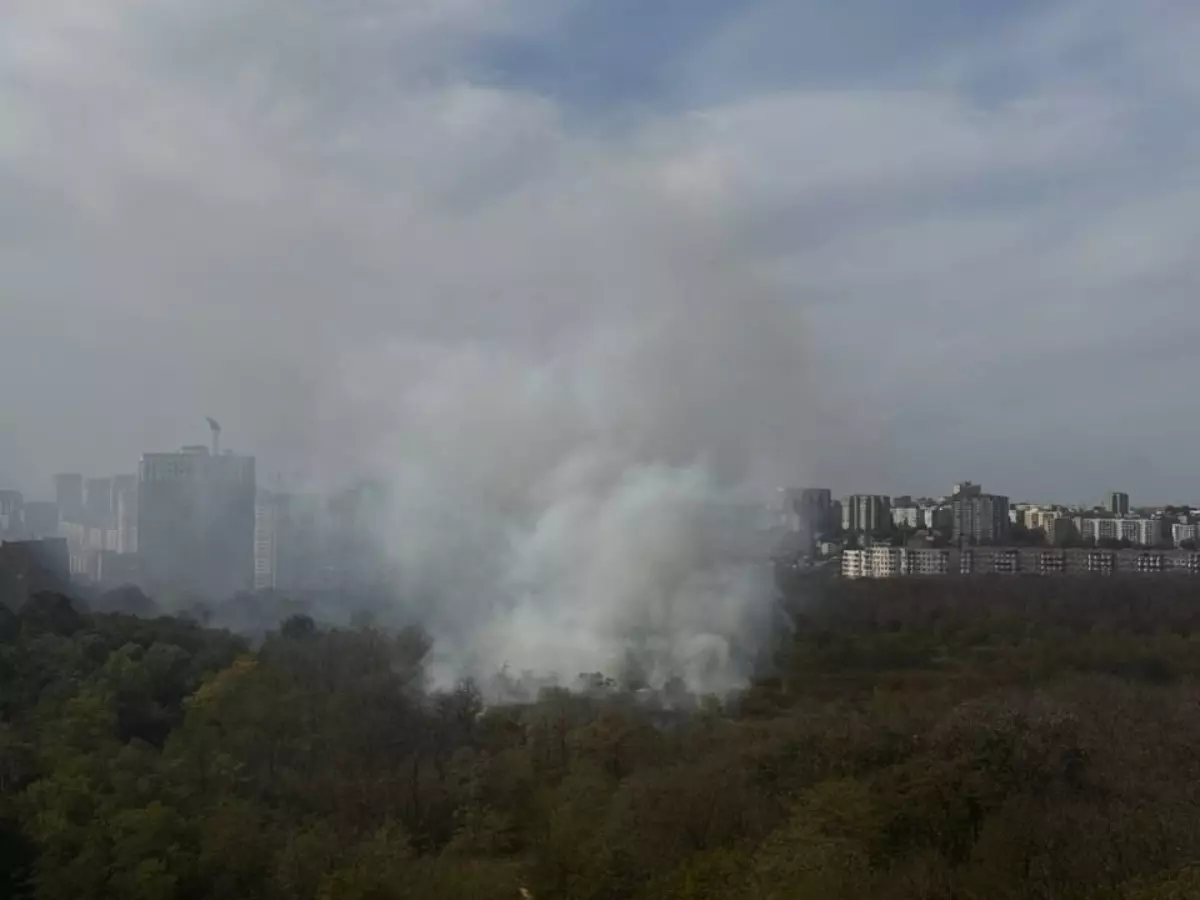 В Ростове вспыхнул пожар в роще Первомайского района