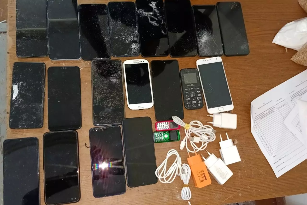 В Ростовском СИЗО-5 пытались передать 21 телефон в пакетах со стиральным порошком 