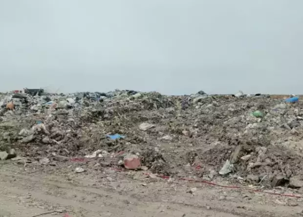 На Дону «Южный город» не смог оспорить в суде приостановку работы на 2 месяца