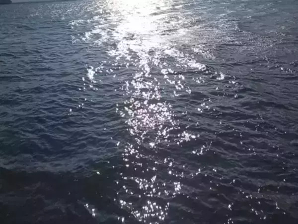 Семь беспилотников сбили в ночь на 1 сентября над Азовским морем