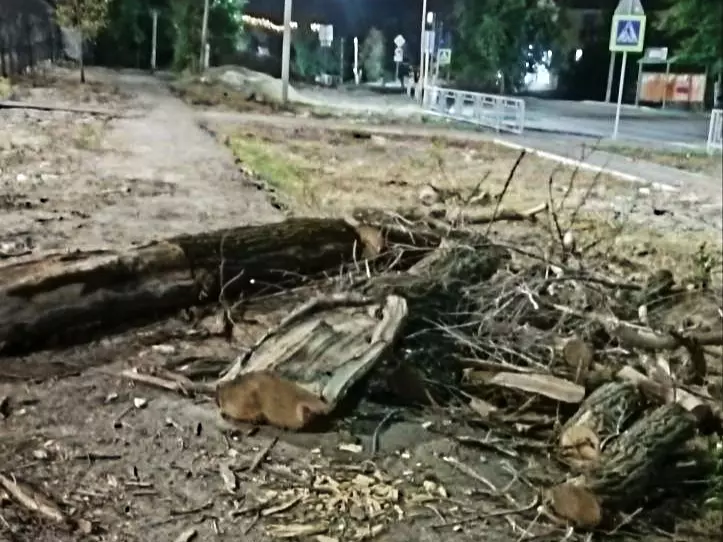 В Красном Сулине пятый день не убирают бревна с дороги возле школы