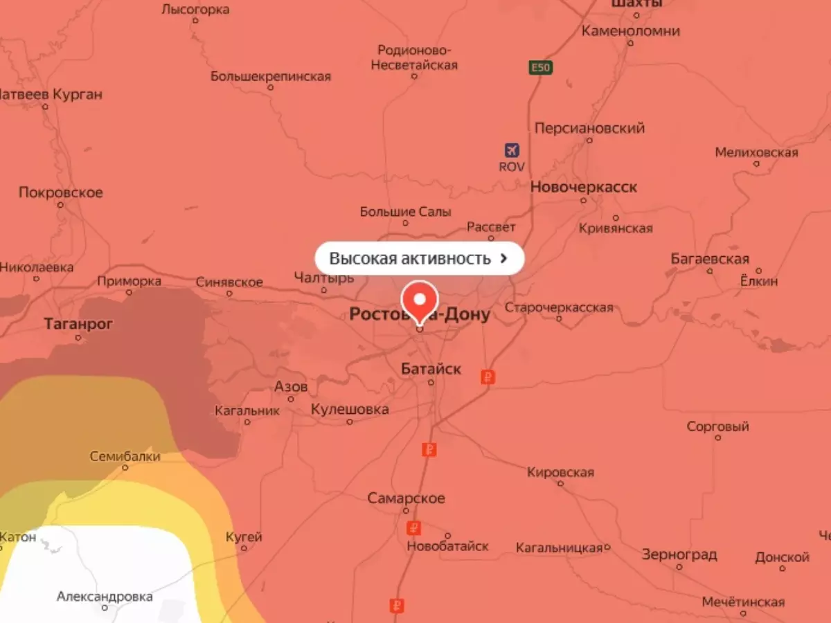 В Ростовской области сохраняется высокая активность пыльцы амброзии