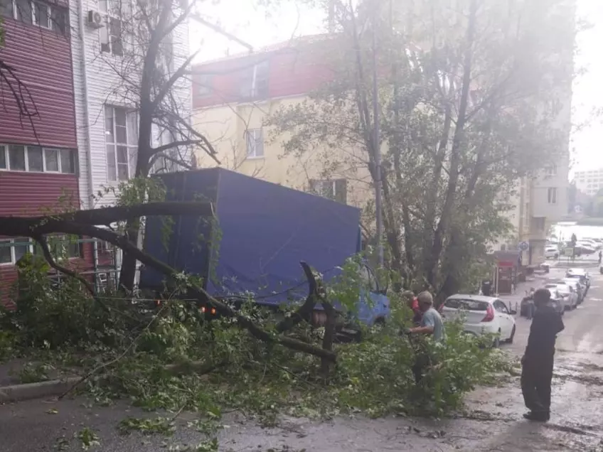 В Ростове на Халтуринском убрали упавшую из-за шторма ветку