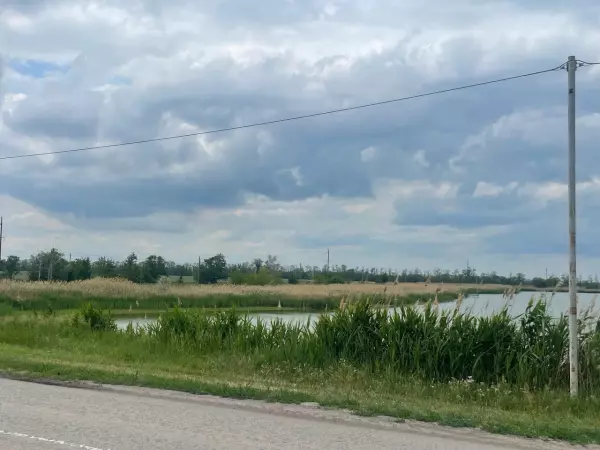 Фото к материалу: Министерство природы назвало причины маловодья в Ростовской области в 2025 году