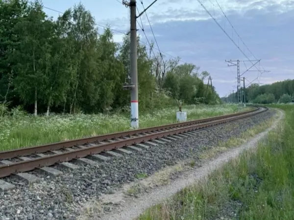 Фото к материалу: Пассажирский поезд сбил насмерть 23-летнего парня под Ростовом