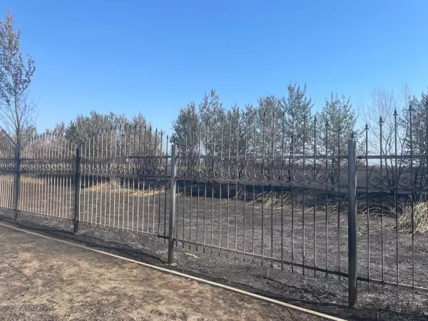 Фото к материалу: Мертвая земля: территория у гребного канала и «Ростов Арены» превратилась в пепелище