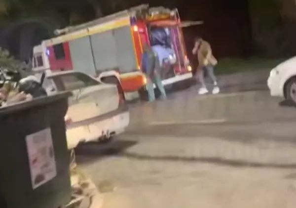 Фото к материалу: В Ростове на Лесопарковой сгорела хозпостройка