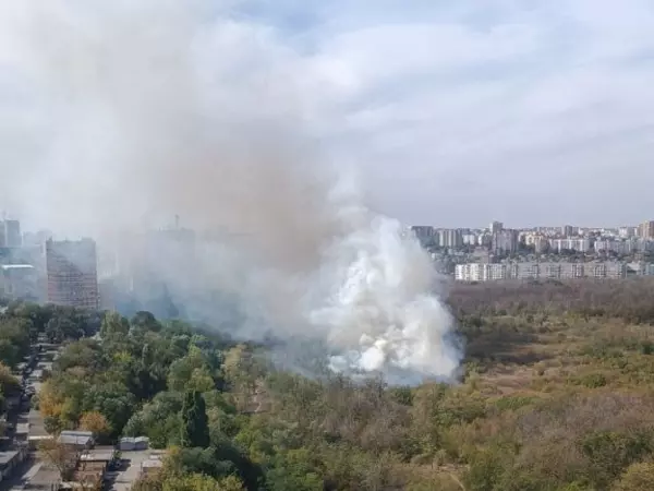 Фото к материалу: В Ростове потушили пожар в роще Первомайского района
