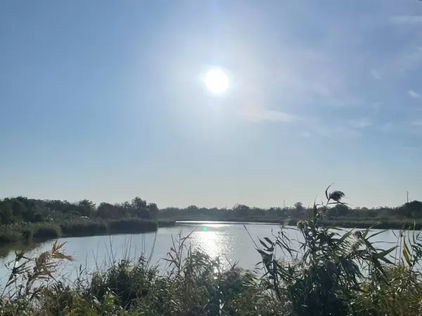 Фото к материалу: Азовское море меняется: климатические изменения перестраивают экосистему моря