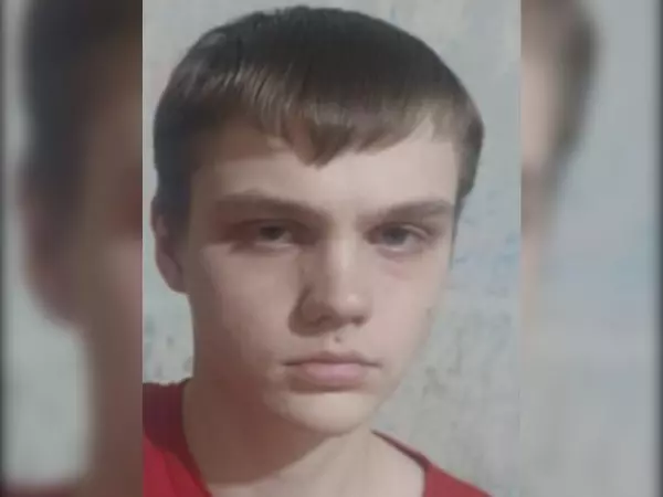 Фото к материалу: В Ростовской области без вести пропал 18-летний парень