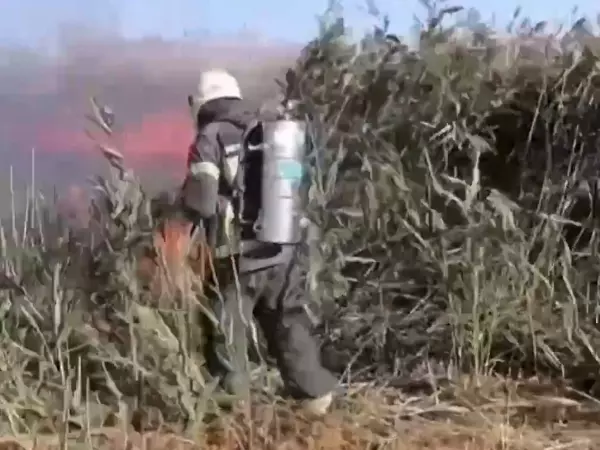 Фото к материалу: ГУ МЧС региона опубликовало кадры тушения крупного пожара в Азовском районе 